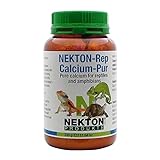 NEKTON