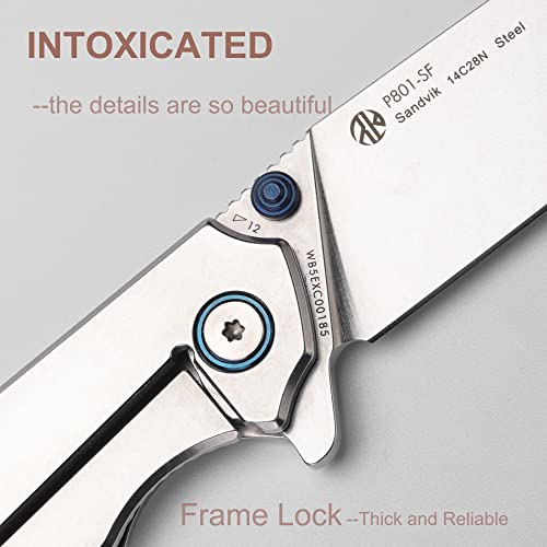 Ruike Tactical Folding Pocket Knife For Men,14C28N Stainless Steel Blade,Frame Lock,Edc Small Camping Knives Belt Clip Carry,Lightweight Survival Flipper Microtech Elemental Utility Fishing Hiking Work Razor Sharp Opening Gear Tool Father Dad Gifts #TOP2