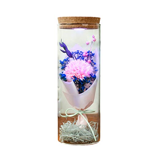 Amosfun Preserved Real Pink Carnation Eternal Bottle Lamp with Remote Control LED Night Light Wishing for Christmas New Year