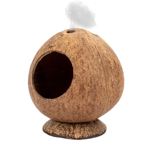 ~̉ W[rnEX - 13.5Z`×s12Z`̃nX^[nEX,]|h~ ݂ɂfނ̏^ybgpB Gb`gP[W - `` nlY~ W[r ETM ^ybgɍœK