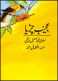 Hardcover Ajeeb Chiria [Urdu] Book
