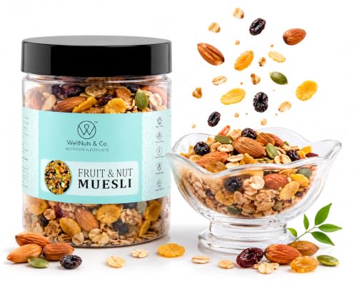 Image of WellNuts & Co. Healthy Snack Combo Pack of 4 |Fruit Nut Meusli - 200g, Mix Veg Chips - 150g, Protein Booster - 200g, Protein Salad - 425g| Roasted & Ready to Eat Snacks | High Protein & High Fiber Combo | Snacks for Healthy Everyday