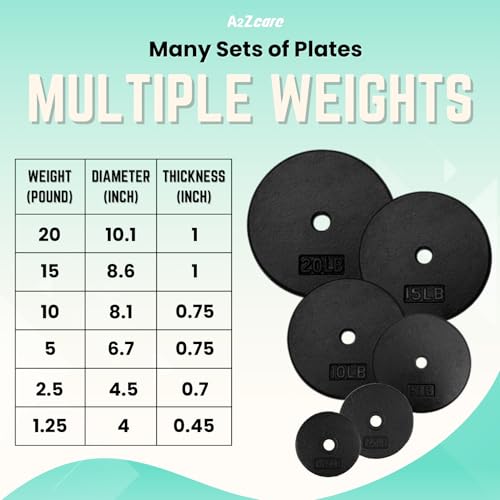 A2ZCARE Standard Weight Plates (set of 4) 10 lb weight plates 1 inch, Cast Iron Weight Plates, Dumbbell 1 inch Weight Plates Set