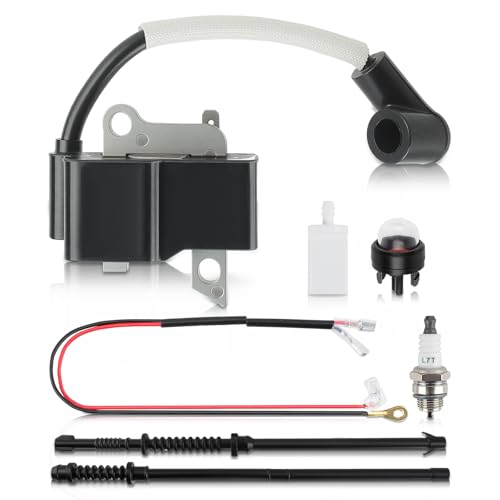 Carbhub Ignition Coil with Spark Plug Fule Filter