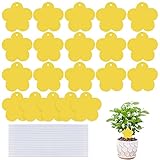 Ampliamente utilizado: nuestro tablero de insectos pegajoso es adecuado para invernaderos, huertos, jardines de té, pequeñas granjas, viveros y jardines traseros, adecuado para plantas de interior y plantas de exterior como flores y verduras.