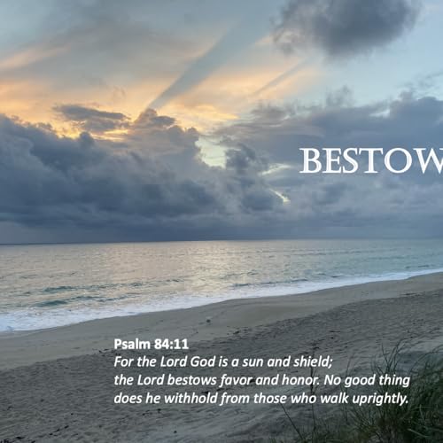 『Episode 19: Promise #19 - Bestows』のカバーアート