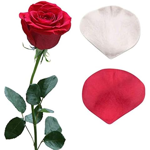 DUBENS Rose Petal Veiner Cake Silicone Mould Wedding Cake Decoration Fondant Moulds Double Sided Printing Mould Cake Decorating Tool Set Cover