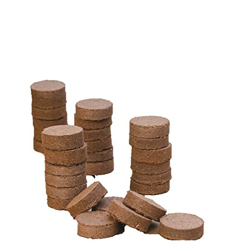 Burpee 32 Count Coir XL