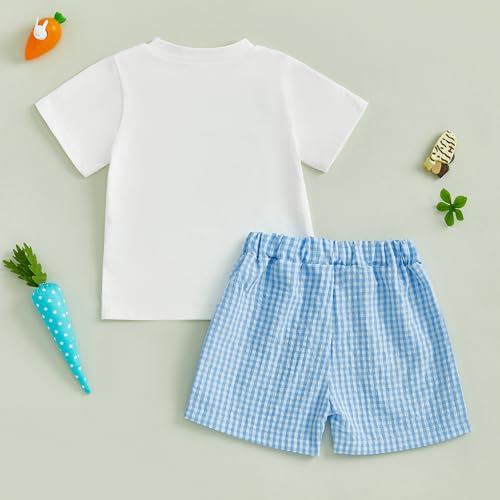 Image of Toddler Baby Boy Easter Rabbit Outfit Short Sleeve Bunny Carrot Smocked T-shirt Elastic Waist Shorts Summer Clothes