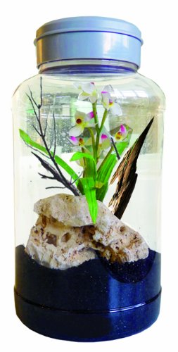Lucky Reptile IT-5 InsectTarrium 5 l, huisdier klein rarium voor de eerste instap in het terraristiek - Afbeelding 6
