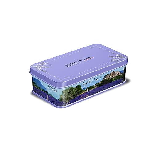 Straight from France Genuinely French, Assorted Mini French Fruit Jellies (Pates de Fruit), 5 Flavors in Auvergne Themed Candy Gift Tin 7 Oz