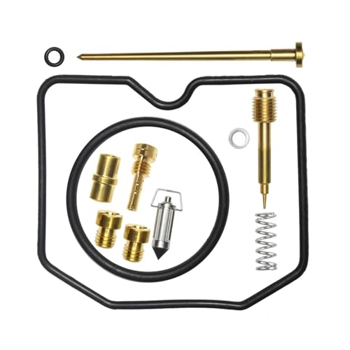 Kit carburateur KLX300R pour rouler sereinement en rando tout-terrain