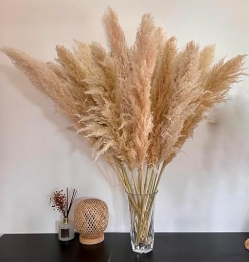 15 Piezas 100 cm de Hierba de la Pampa Grande, Ramo de Flores secas Naturales y esponjosas, Hierba de la Pampa XXL, para decoración del hogar Boho, decoración de Pared, Mesa, Boda, Dormitorio | Ya disponible en tu tienda friki favorita! En mundofriki.es!