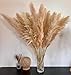 15 Stück 100cm Pampasgras Groß, Natürliche & Flauschige Trockenblumenstrauß Pampasgras XXL, für Boho-Wohnkultur, Wanddekoration, Tisch, Hochzeits, Schlafzimmer