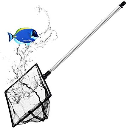 Grepol-V Fish Net for Fish Tank, 5 Inch Fine Mesh Aqurium Net with 9-24 Inch Stainless Steel Long Handle, Extendable Fishing Tank Net for Fish Shrimp Tank, Pond, Creek