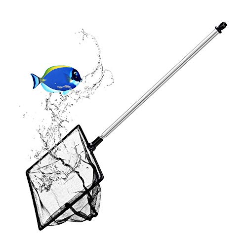 Grepol-V Fish Net For Fish Tank, 5 Inch Fine Mesh Aqurium Net With 9-24 Inch Stainless Steel Long Handle, Extendable Fishing Tank Net For Fish Shrimp Tank, Pond, Creek #TOP22