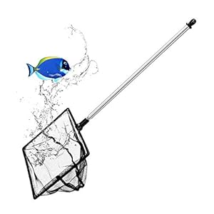 Grepol-V Aquarium Fish Net, 5 Inch Fine Mesh Fish Tank with Extendable 9-24 inch Long Handle