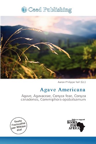 Agave Americana: Agave, Agavaceae, Conyza feae, Conyza canadensis, Commiphora opobalsamum