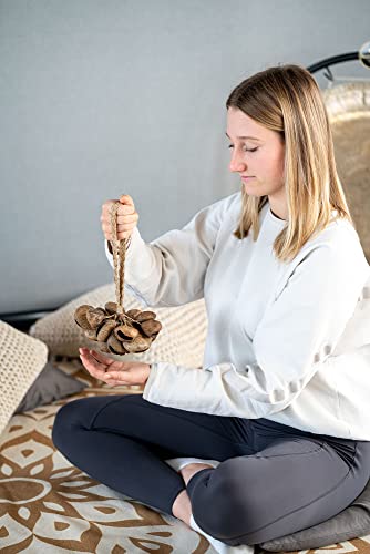Sonic Energy SPGRS Meinl Sonic Energy Seed Shell Shaker Percussion Instrument — Nature Sounds thumb #3