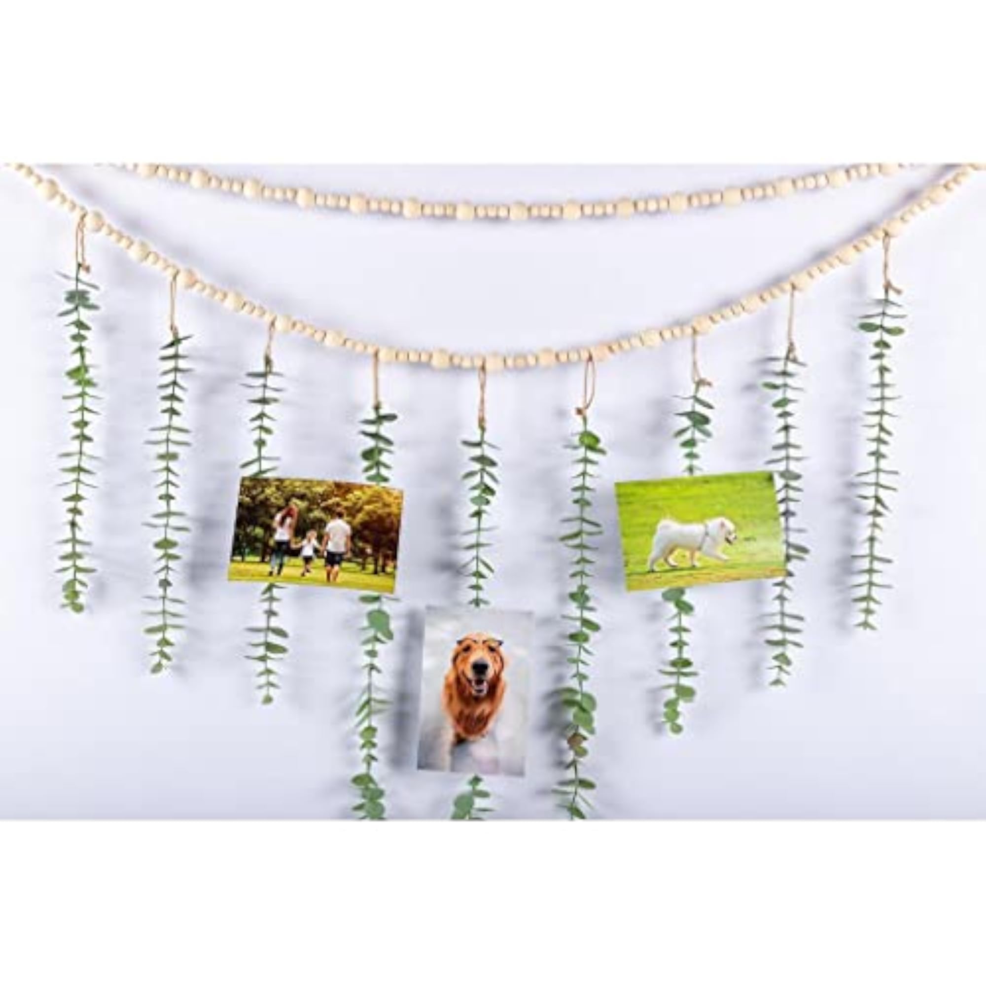 Artificial Eucalyptus Boho Photo Hanging Wall Decor