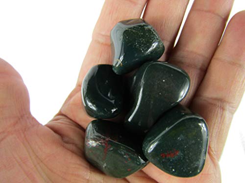 CircuitOffice 5 Piece Bloodstone Tumbled Stones (0.75
