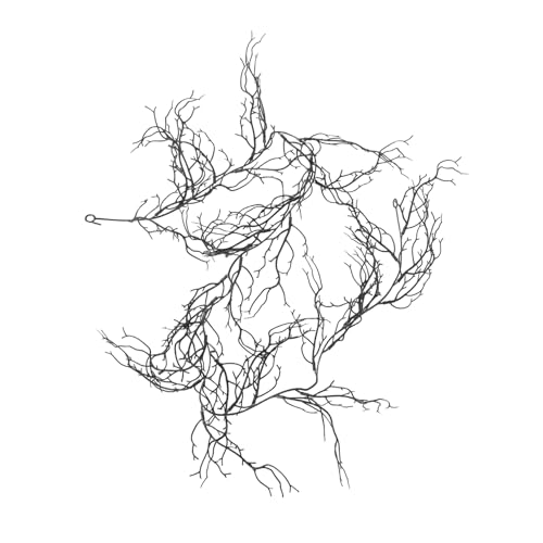 DONFAMDS ubNEB[u`K[h nEBpvX`bNό󐫂  Op e[u hA EBhE Ԑڏ