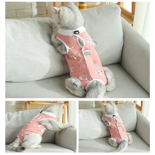 GIEEU Katzen-Genesungsanzug, Schutzbody für Katzen, nach Operationen, nach Operationen, Erholungsanzug, weibliche Bauchwunden, Größe M (2-4 kg Katze)