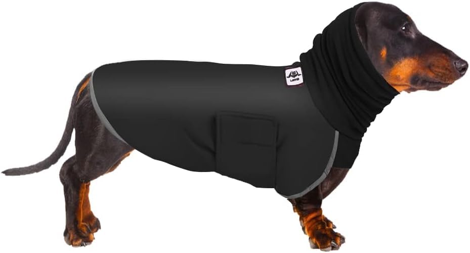 Cappotti per bassotti, cappotto invernale per cani caldo e impermeabile, cappotto impermeabile per bassotti, abbigliamento impermeabile, cappottini per cani miniatura, impermeabili per cani piccoli