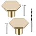 DXiongW 2 szt. gałek do szuflad, drzwi szafki, złoty mosiądz, okucia do szuflad, gałki do szafek, sześciokątny uchwyt z 2 śrubami i 1 uchwytem do wiertarki, do drzwi szuflad, szafy, dekoracji