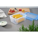 Frischhaltedosen Test