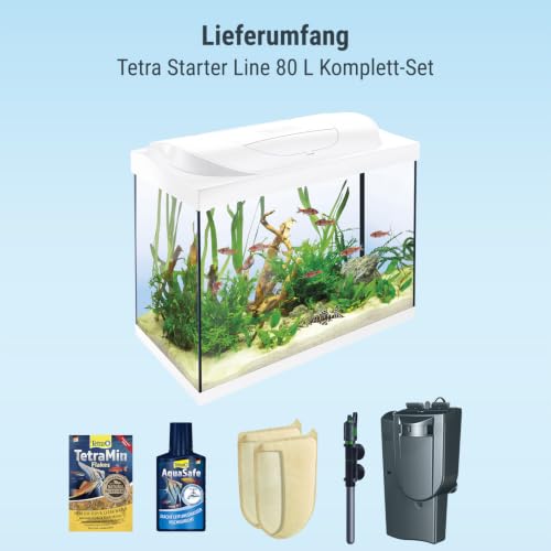 Tetra Starter Line 80 L Aquarium Weiß, Komplett-Set - inkl. Tag- & Nachtlicht LED-Beleuchtung, Innenfilter, Heizer, Fischfutter und Wasseraufbereiter