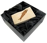 Steinart: Fossilien Knightia Alta - Fossil Fish Gift Box by CrystalAge