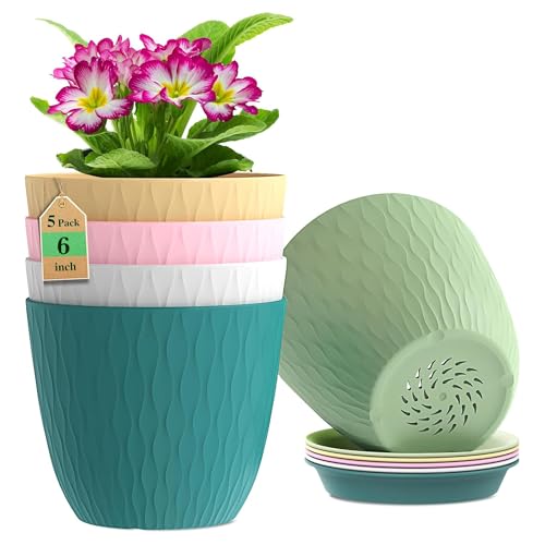Eightiz (Pack of 5 6 Inch Plastic Flower Pots for Indoor & Outdoo...