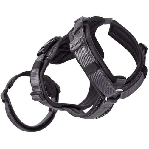 Sicherheitsgeschirr Maldon Farbe schwarz/grau, Größe S-M