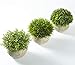 Jobary Set de 3 Plantas Artificiales con Césped Verde en Macetas Grises,...