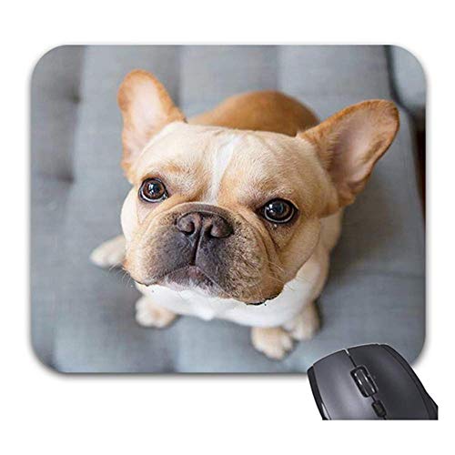 Preisvergleich Produktbild Entzückende Hundemauspads Rutschfeste Gummibasis Stilvolles Bürozubehör