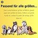 Animal House – Büffelhörner für Hunde – 100% natürlich, kaubar – Stärkt die Mundhygiene – Stark und langlebig – In Allen Größen erhältlich – Tierversuchsfrei (1, S)