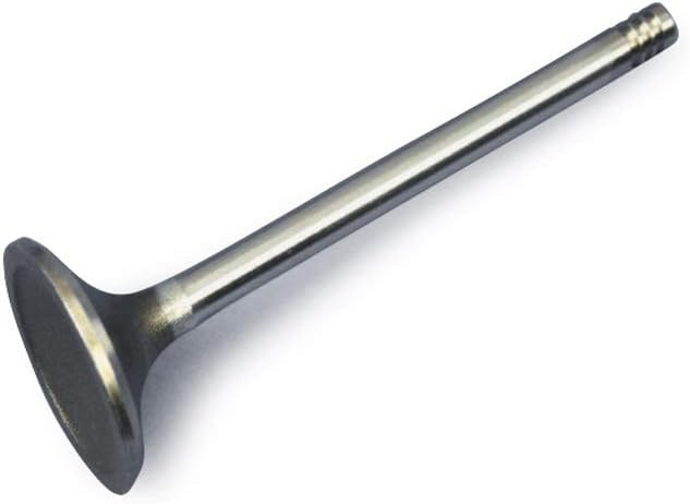 Exhaust Valve