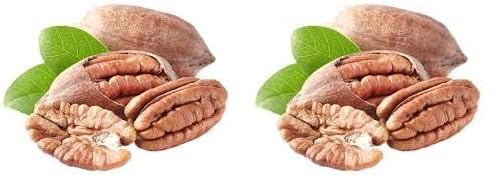 Image of Nutzy Premium Nuts (Pecan Nuts, 600g) (Pack of 2)