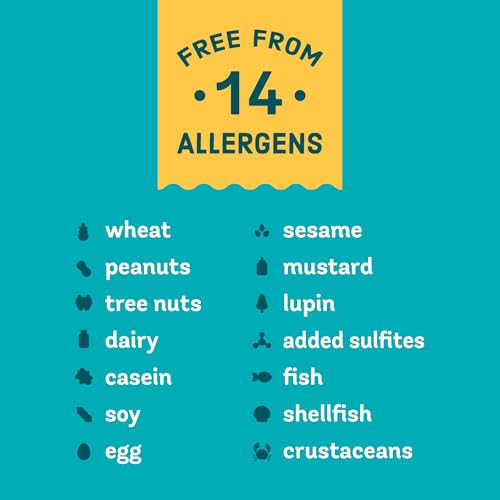 Enjoy Life Morsels Regular Sized Dark Chocolate -- 9 oz by Enjoy Life