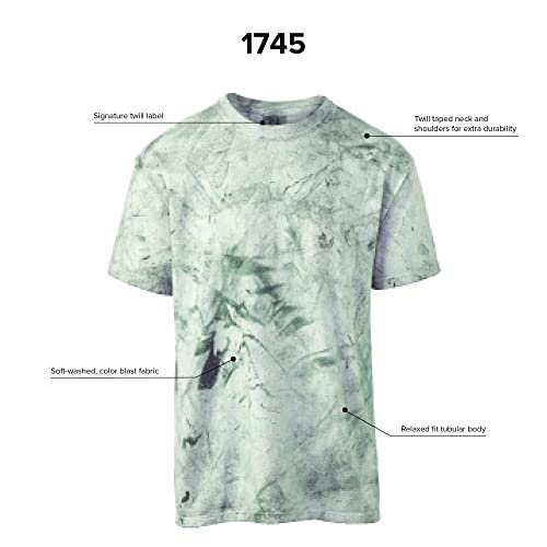 Comfort Colors Adult Heavyweight Short Sleeve Color Blast Tee, Style 1745, 2-Pack T Shirt, Amethyst, Xx-Large Us #TOP27