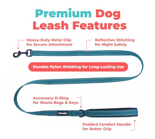 Best Pet Supplies Voyager Reflective Dog Leash or Collar with Neoprene Handle, for Small, Medium, and Large Breed Puppies, Cute and Heavy Duty for Walking, Running and Training - Turquoise (Leash), L by Best Pet Supplies - Image 2