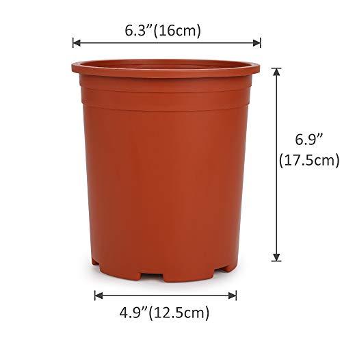 Buy GROWNEER 12 Packs 1 Gallon Nursery Pot Garden Flower Pots, Nursery