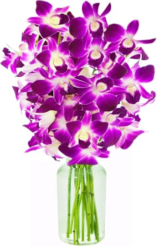 Image of KaBloom-10 Purple orchid Bouquet,Flowers for Valentine, Mother's Day