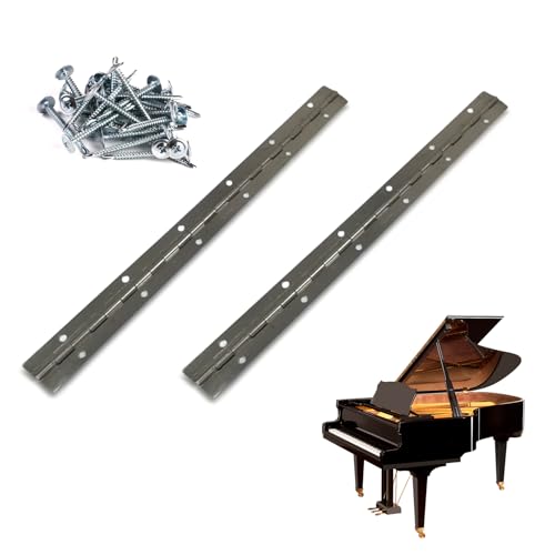 2 Set Cerniera In Metallo Per Pianoforte,In Acciaio Inossidabile,Ideale Pianoforti Armadietti,Con Viti,Resistente Versatile Per Professionale,Pianoforti, Armadi, Porte, Grandi Finestre, Barche