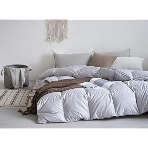 Haru Homie Goose Down Alternative Comforter - All Season Luxury Hotel Quality Cotton Shell Twin Size Duvet Insert Skin-Friendly Comforter Down Proof with Tabs (King,Gray) Cover