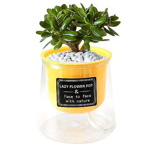 Vasos para mudas, Vasos para plantas com mudas de flores, Vasos iniciais de mudas de jardim para mud