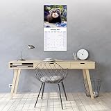 Avonside Fretki 2027 Kalendarz z Naklejkami Organizacyjnymi, 16-Miesięczny Kwadratowy Kalendarz Ścienny (wrz 2026 - gru 2027), Planer, 29,5 x 29,5 cm
