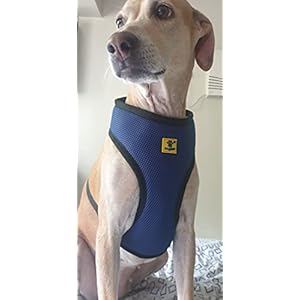 A+a Pets’ Air Mesh Quick Dry Harness | Reflective Adjustable Soft Comfortable Pet Vest (Adult/Large Dogs) (X-Large, Ink Blue)