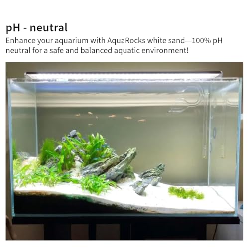 Image of Premium Natural White Aquarium Sand (1.8 kg Pack) | Decorative White Sand for Fish Tanks, Terrariums, Aquascaping & Reptile Habitats